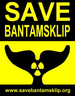 Logo einer Gruppe südafrikanischer Atomkraft-Gegner